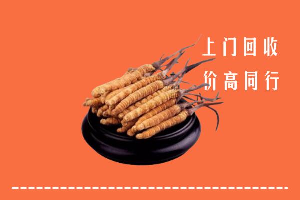 收购行情：洪泽区回收散虫草